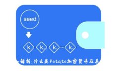 深入解析：什么是Potato加